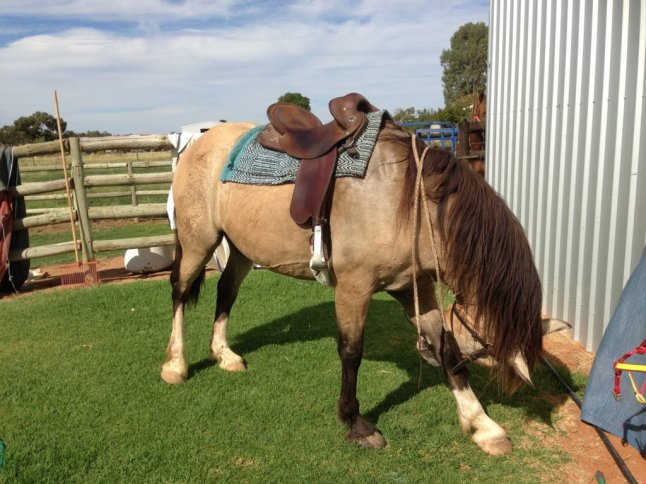 IMG_6575 (FILEminimizer)