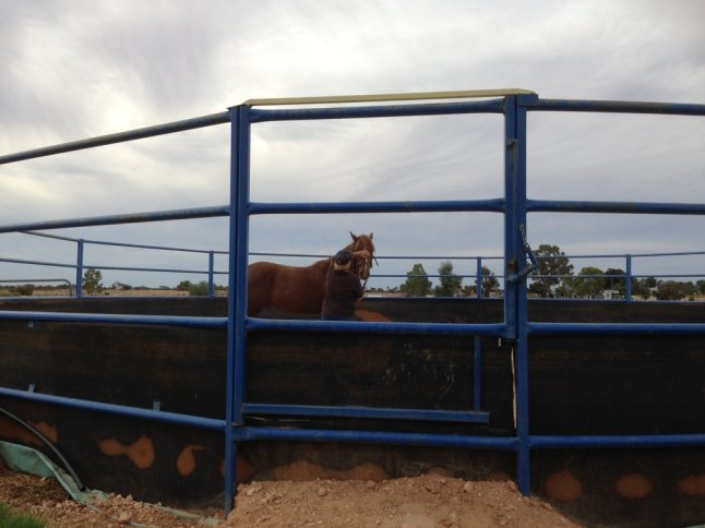 IMG_6593 (FILEminimizer)