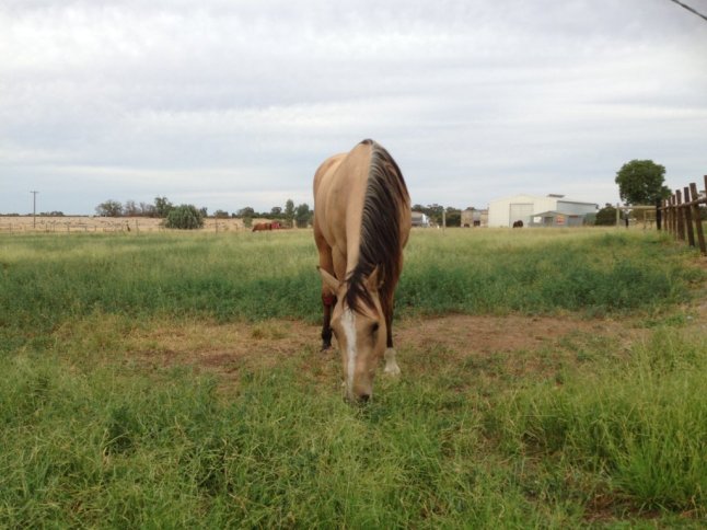 IMG_6596 (FILEminimizer)