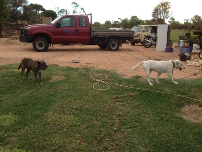 IMG_6599 (FILEminimizer)