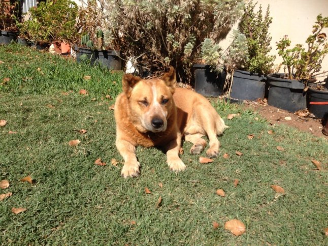 IMG_6624 (FILEminimizer)