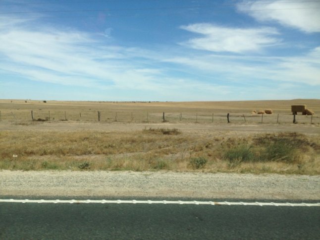 IMG_6637 (FILEminimizer)