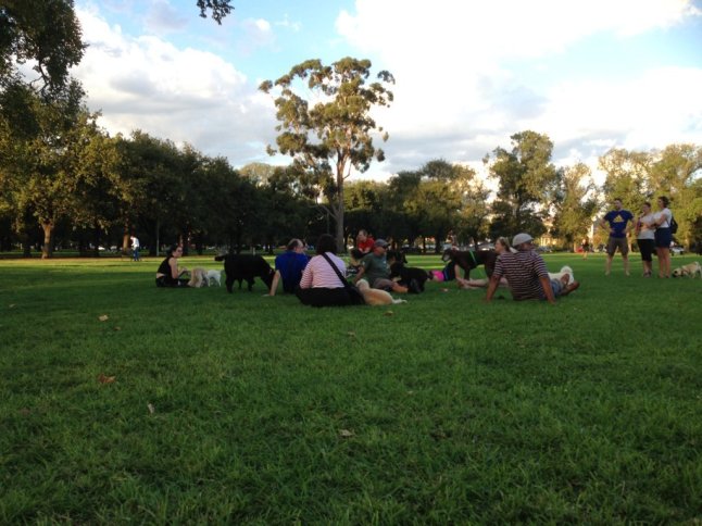 IMG_6717 (FILEminimizer)