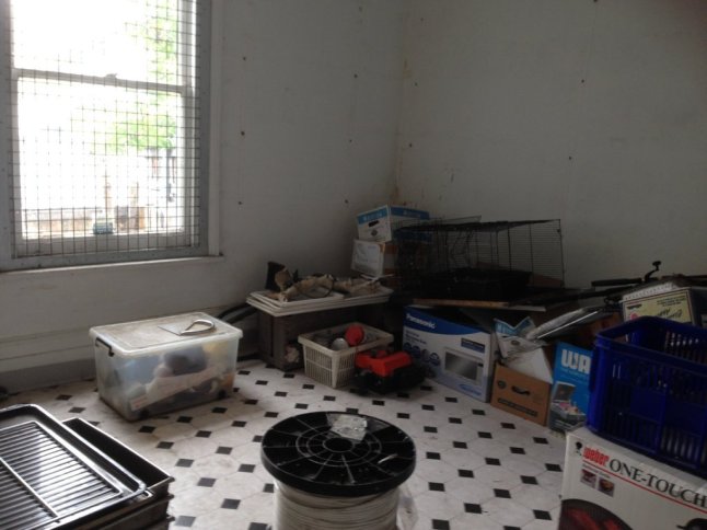 IMG_6787 (FILEminimizer)