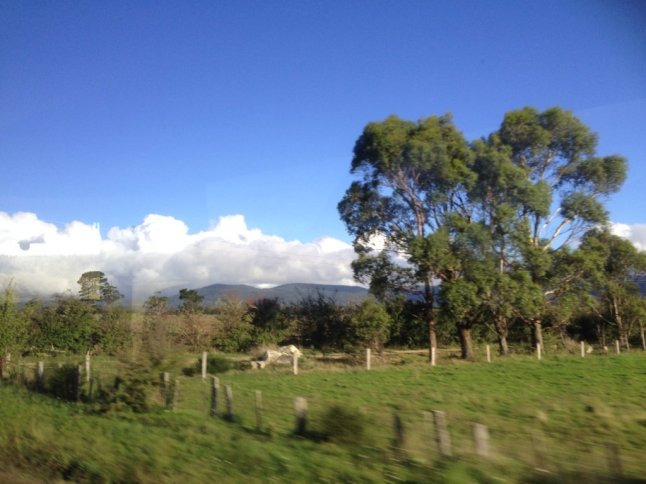 IMG_7272 (FILEminimizer)