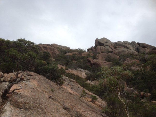 IMG_7411 (FILEminimizer)