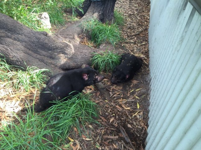 IMG_7445 (FILEminimizer)