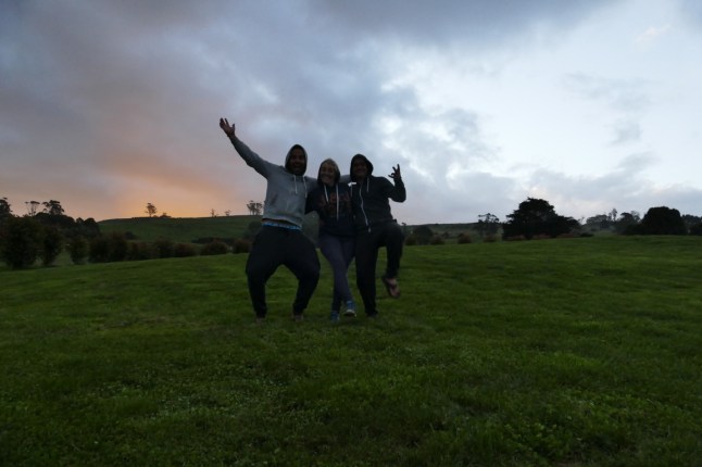 P1080161 (FILEminimizer)