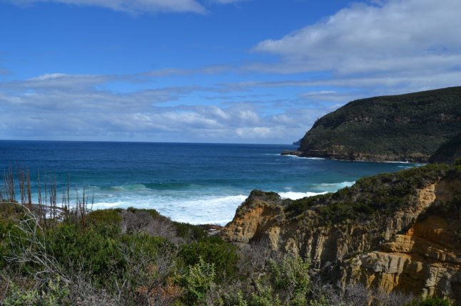 DSC_0005 (FILEminimizer)