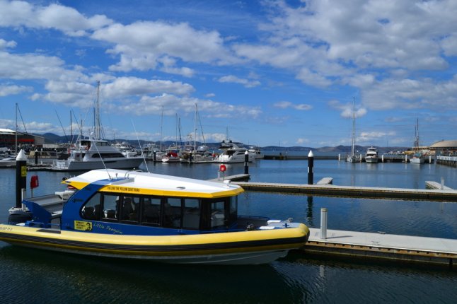 DSC_0005 (FILEminimizer)