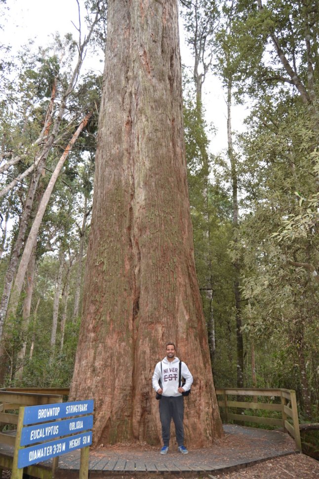 DSC_0007 (FILEminimizer)