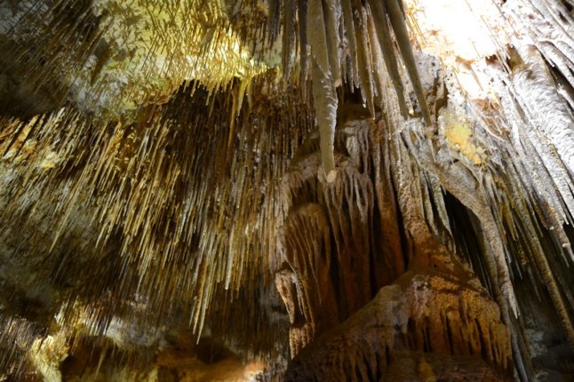 DSC_0007 (FILEminimizer)