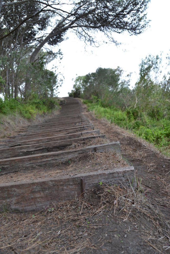 DSC_0037 (FILEminimizer)