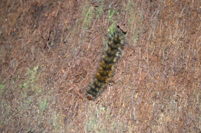 DSC_0074 (FILEminimizer)