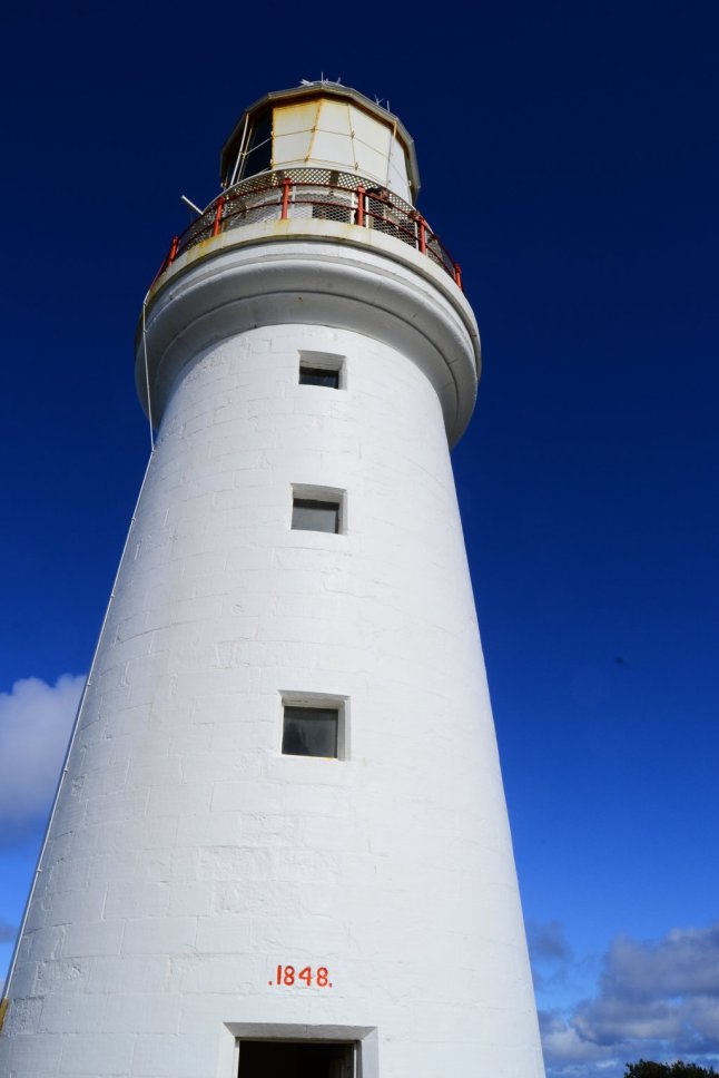 DSC_0115 (FILEminimizer)