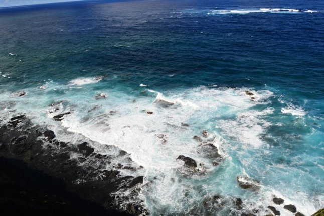 DSC_0131 (FILEminimizer)