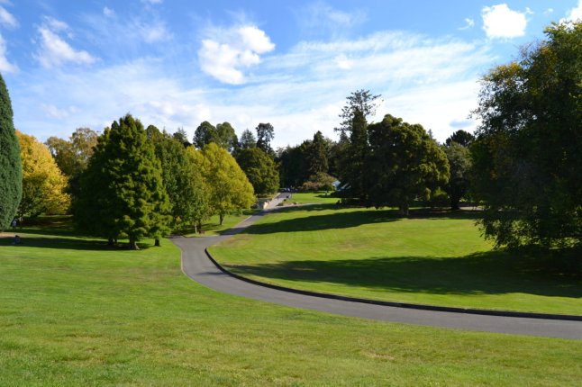 DSC_0140 (FILEminimizer)