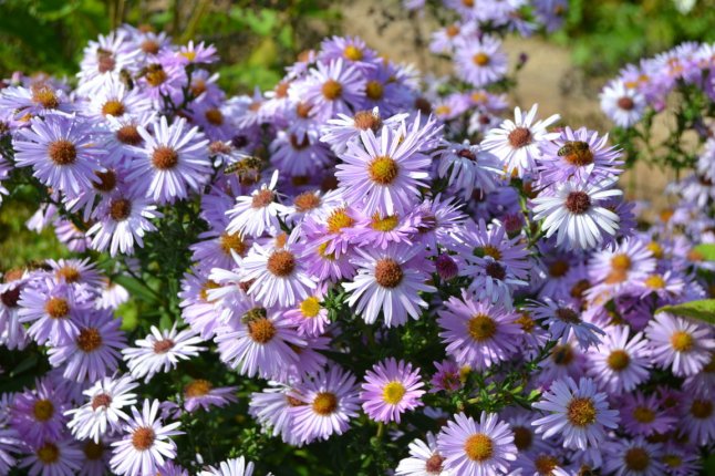 DSC_0147 (FILEminimizer)