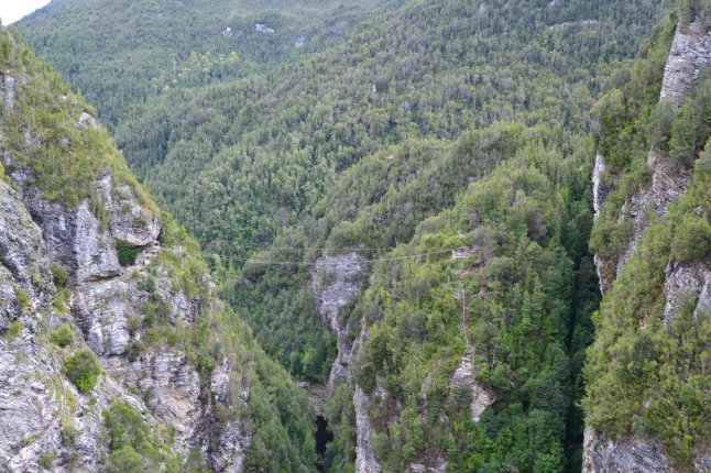 DSC_0214 (FILEminimizer)