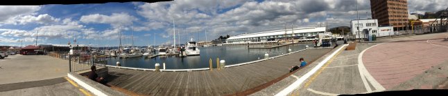 IMG_7492 (FILEminimizer)