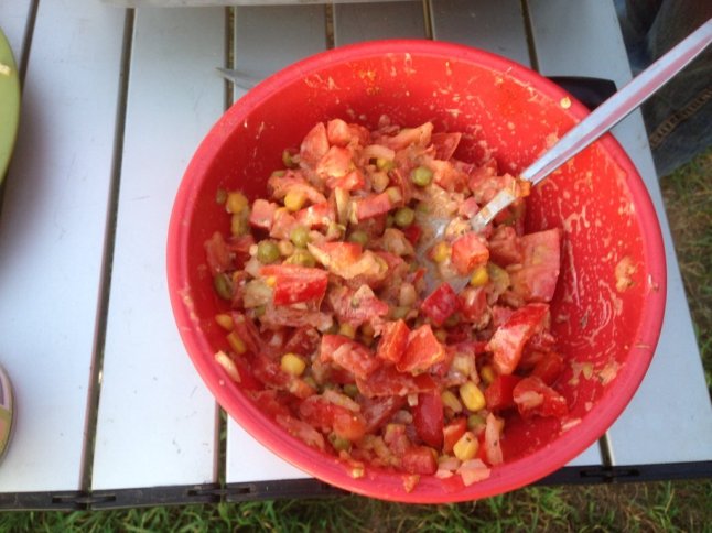 IMG_7593 (FILEminimizer)