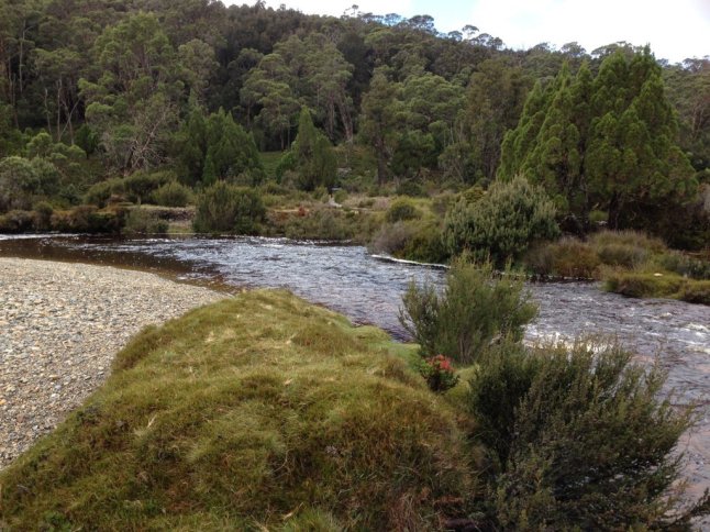 IMG_7612 (FILEminimizer)