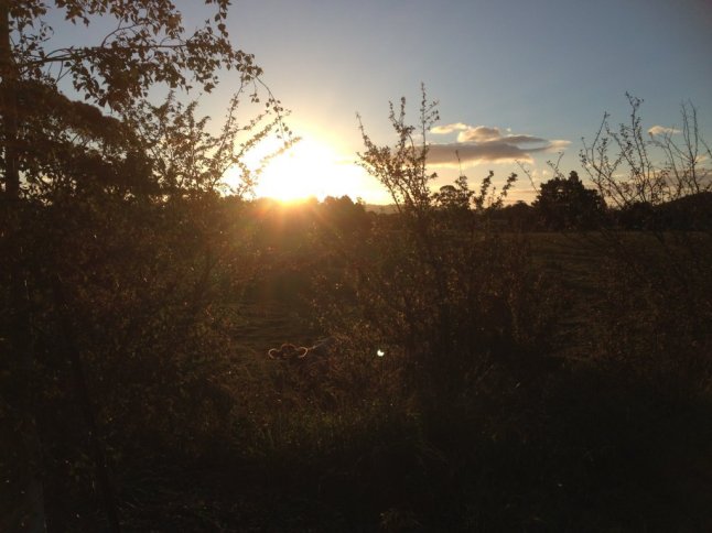 IMG_7637 (FILEminimizer)