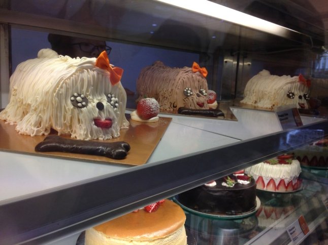 IMG_7777 (FILEminimizer)