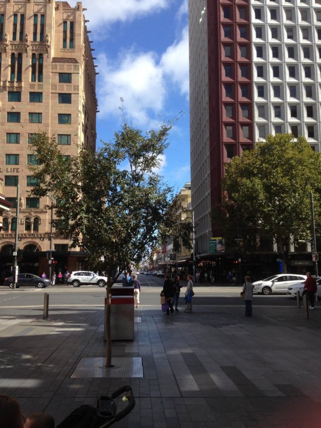 IMG_7799 (FILEminimizer)