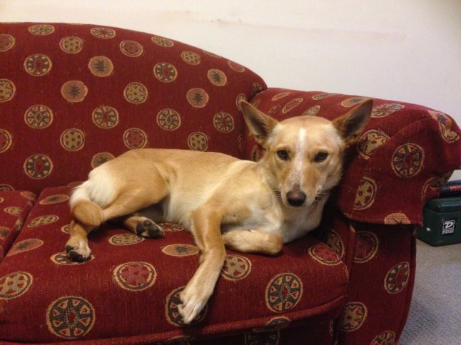 IMG_8202 (FILEminimizer)