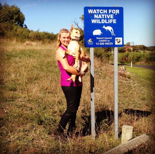 IMG_8239 (FILEminimizer)