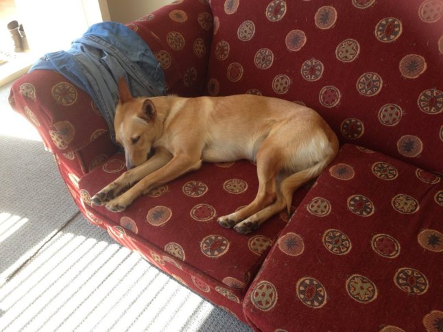 IMG_8240 (FILEminimizer)