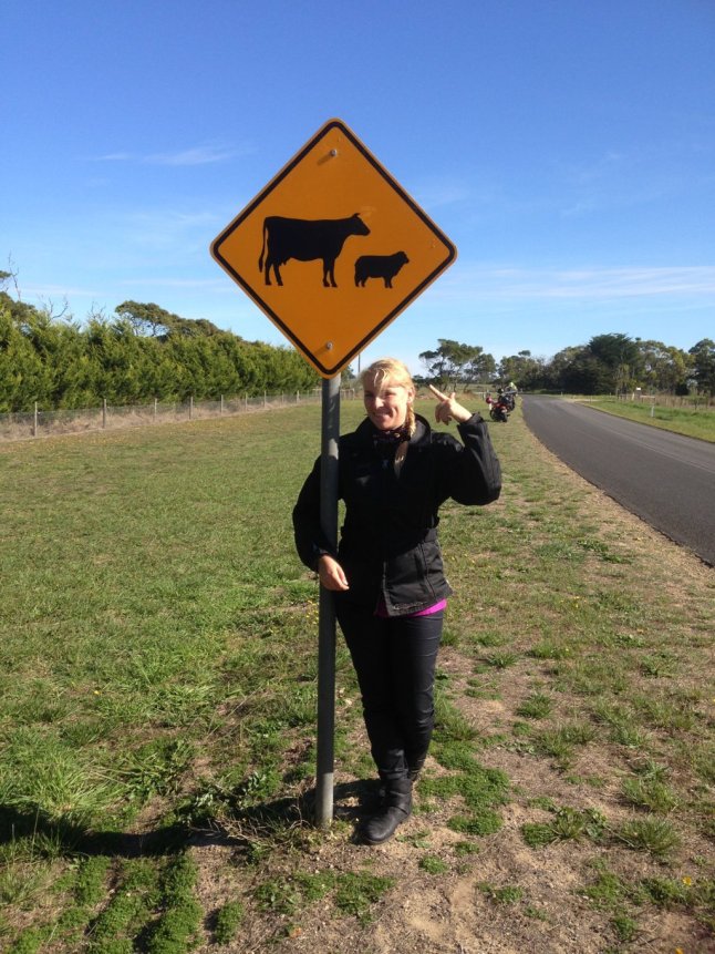 IMG_8254 (FILEminimizer)