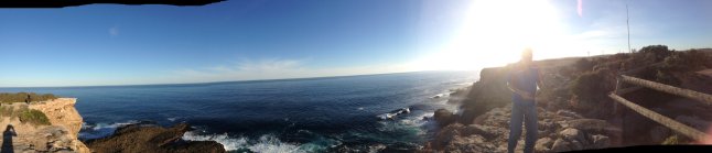 IMG_8259 (FILEminimizer)