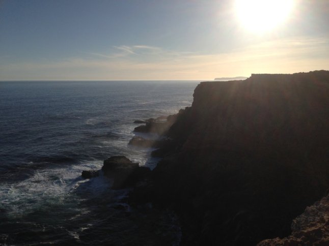 IMG_8261 (FILEminimizer)