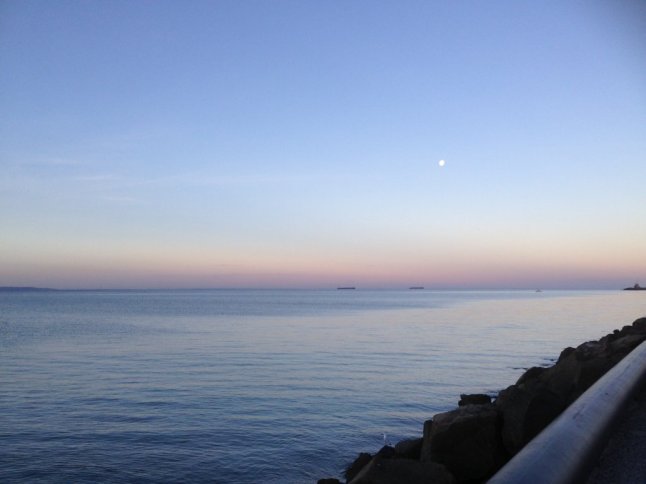 IMG_8295 (FILEminimizer)