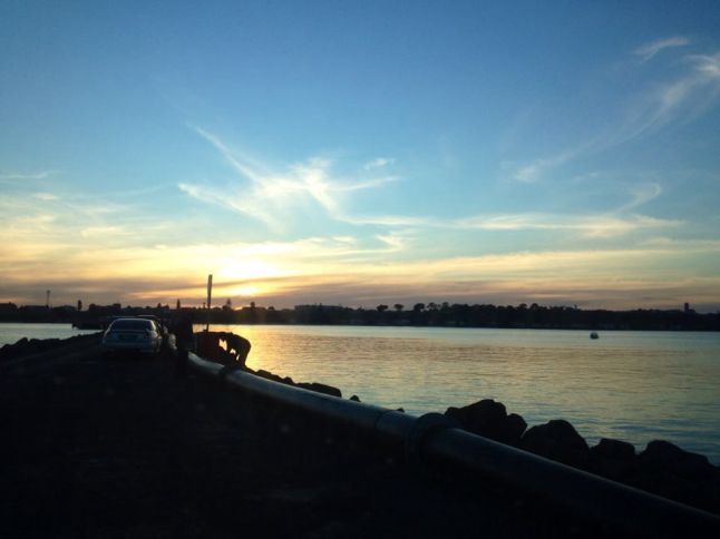 IMG_8329 (FILEminimizer)