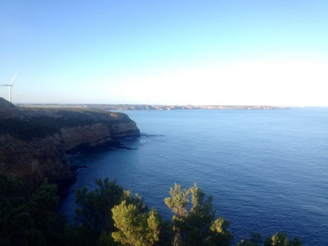 IMG_8338 (FILEminimizer)