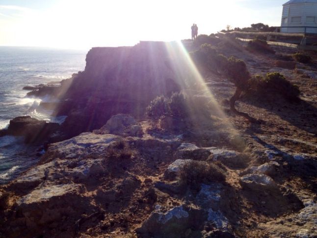 IMG_8346 (FILEminimizer)