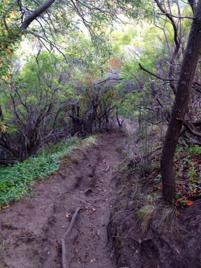 IMG_8365 (FILEminimizer)