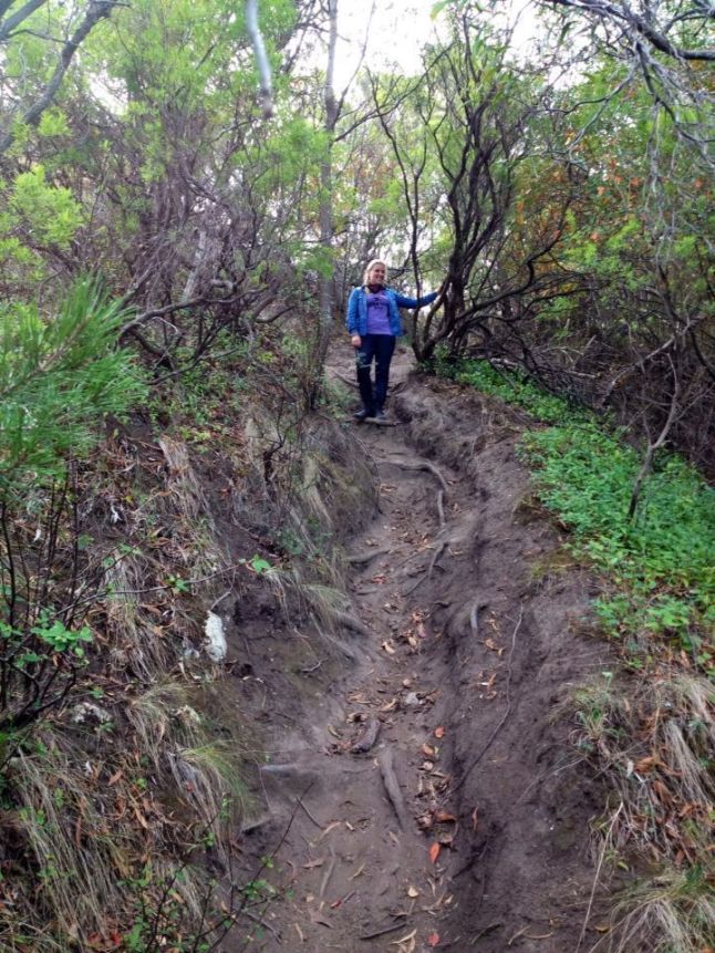 IMG_8387 (FILEminimizer)