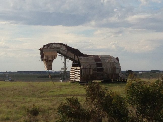 IMG_8446 (FILEminimizer)