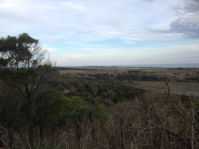 IMG_8456 (FILEminimizer)