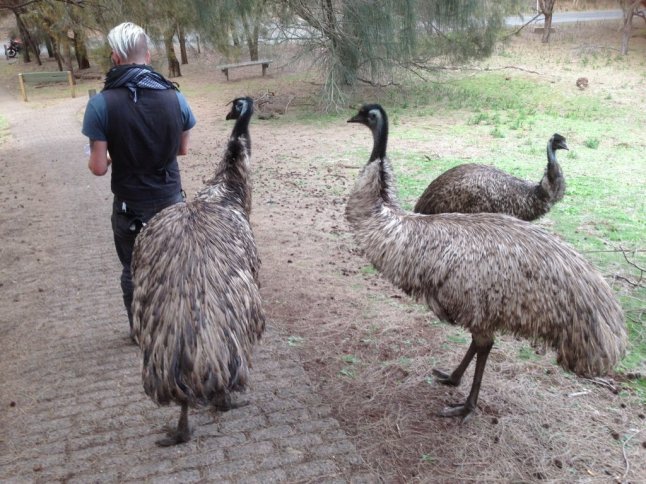 IMG_8466 (FILEminimizer)