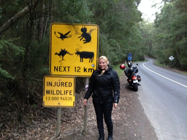 IMG_8655 (FILEminimizer)