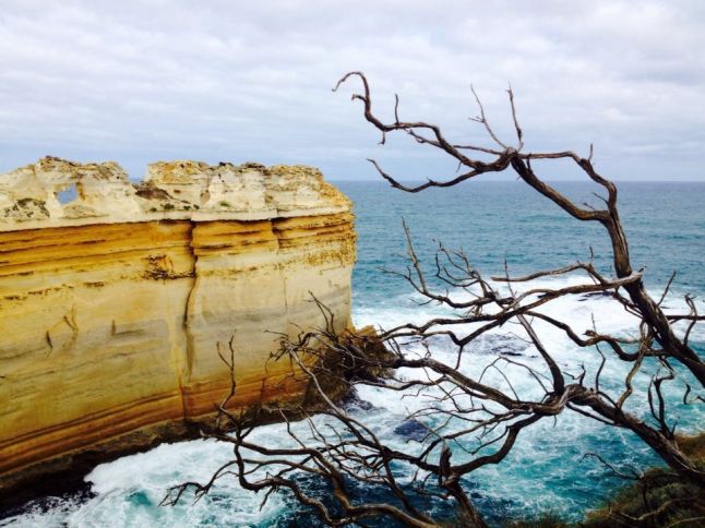 IMG_8677 (FILEminimizer)