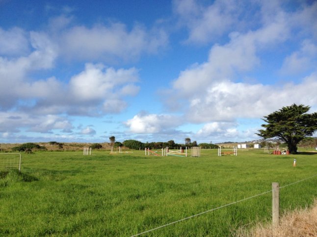 IMG_8712 (FILEminimizer)