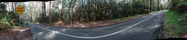 IMG_8717 (FILEminimizer)