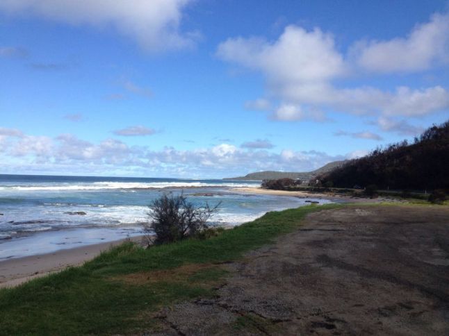 IMG_8799 (FILEminimizer)