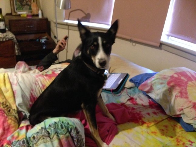 IMG_8832 (FILEminimizer)